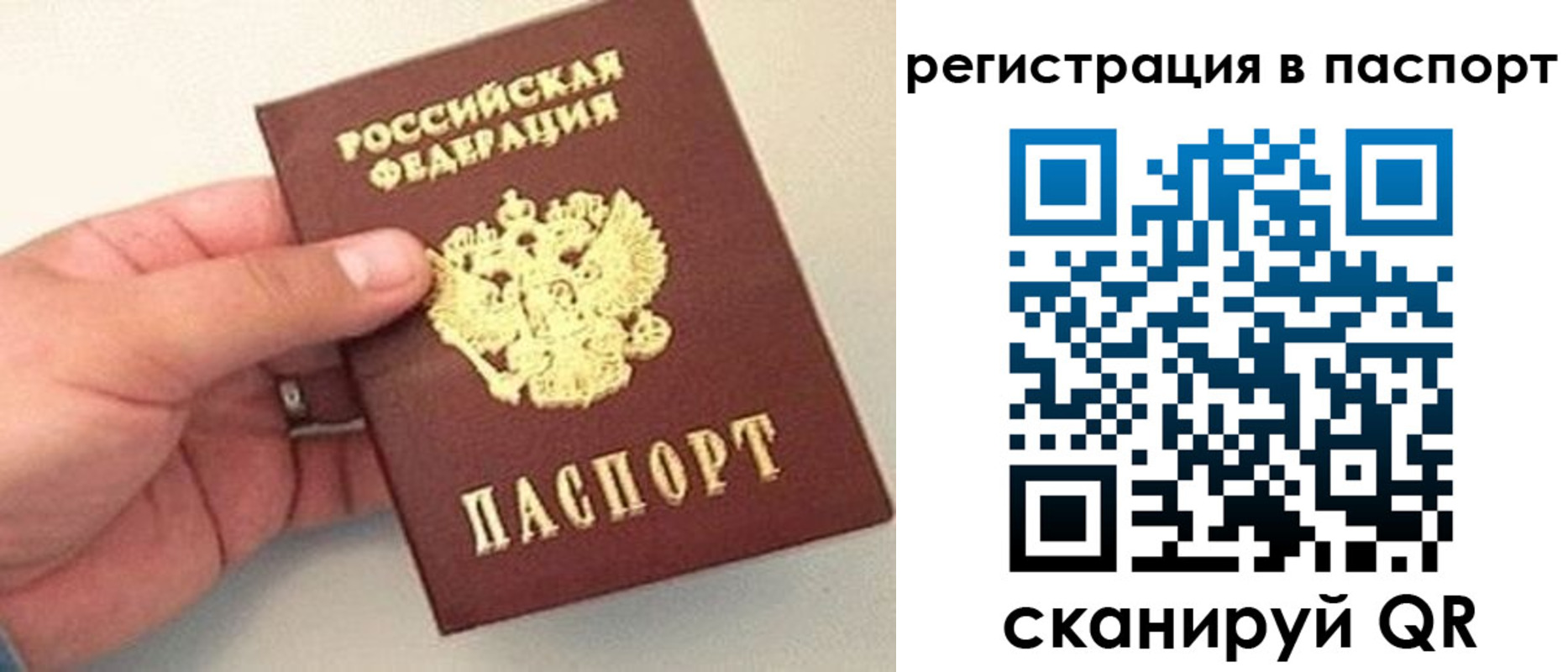 прописка законно в Лесном